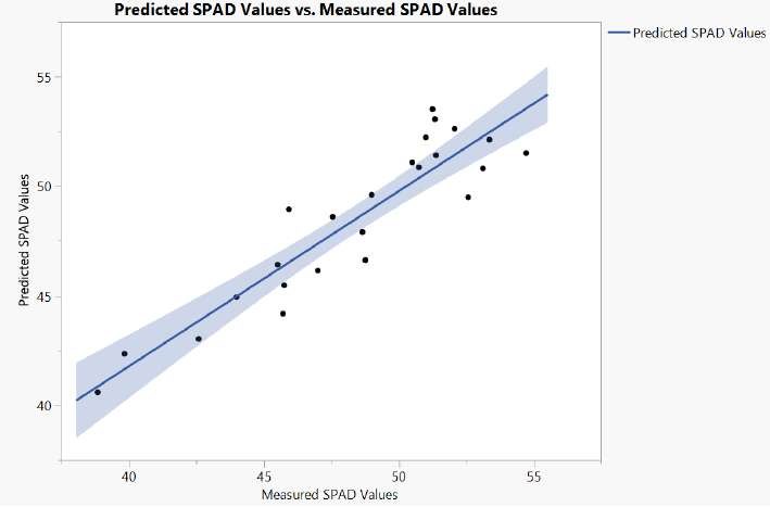 Predicted SPAD values against measured SPAD values