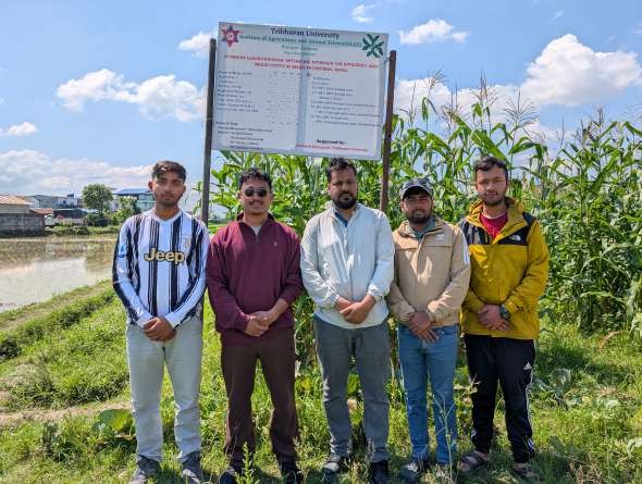 Project team standing in front of the experimental maize field